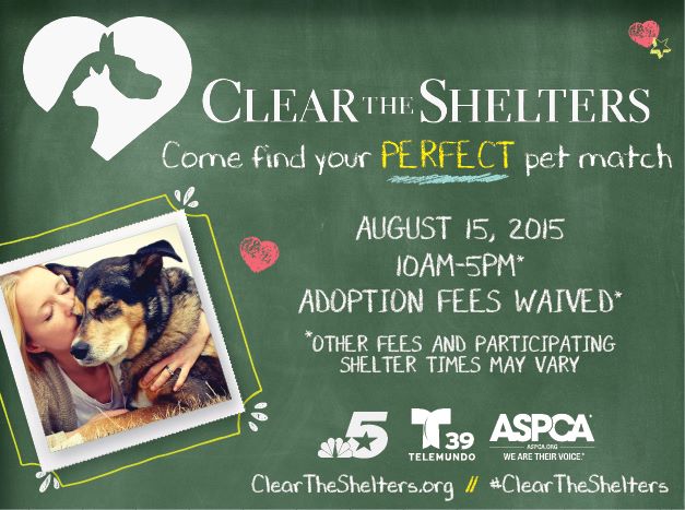 Clear the Shelter.jpg